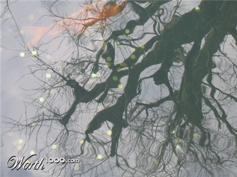 Photography by Juicer