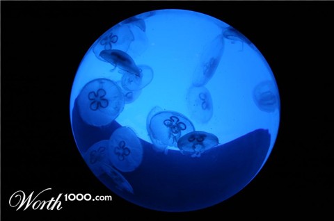 Photography by bzzje