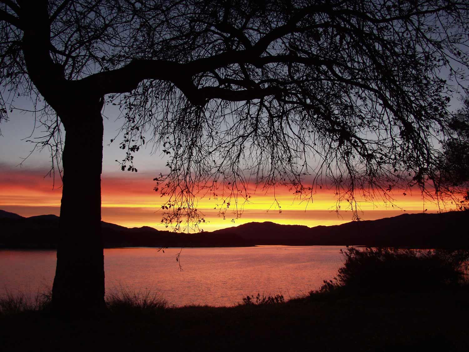 Photography by jodyberry for DesignCrowd (Community Contests) | Design #9073207