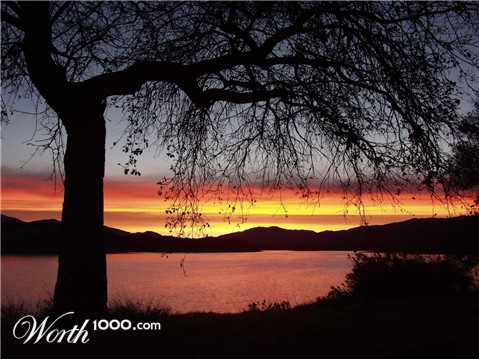 Photography by jodyberry