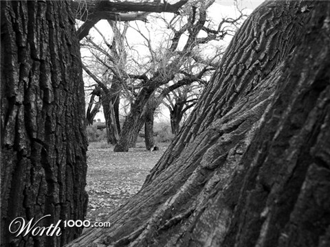 Photography by kimpalmer