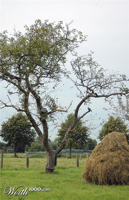 Photography by Marian