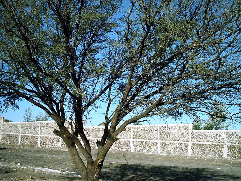 Photography by christophear for DesignCrowd (Community Contests) | Design #9073146