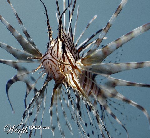 Photography by sns1953