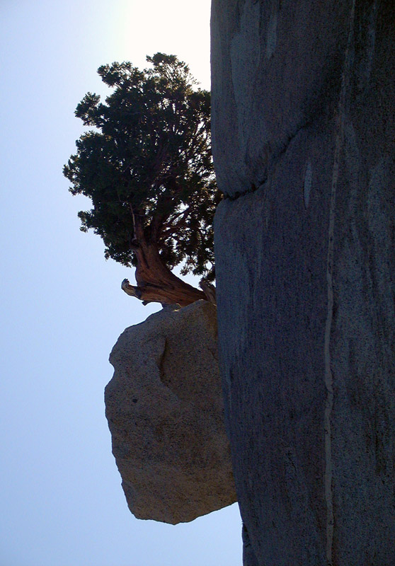 Photography by Tinman1000 for DesignCrowd (Community Contests) | Design #9065330