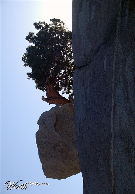 Photography by Tinman1000