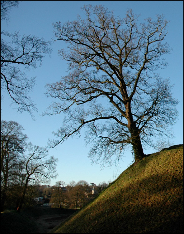 Fotografía por Redbull_UK para DesignCrowd (Community Contests) | Diseño #9073112