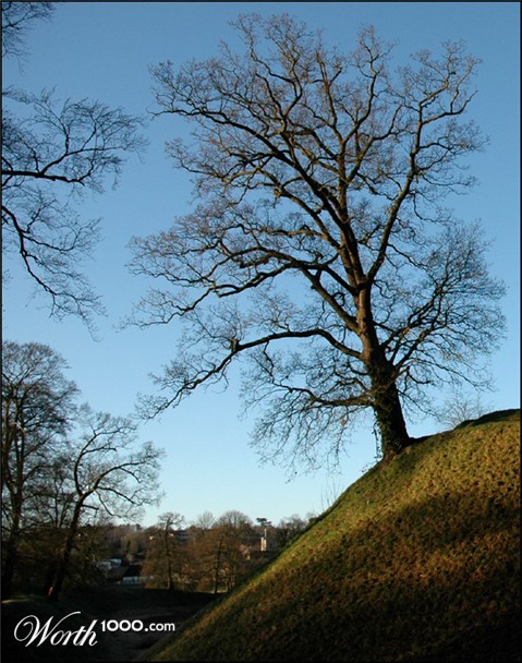 Photography by Redbull_UK