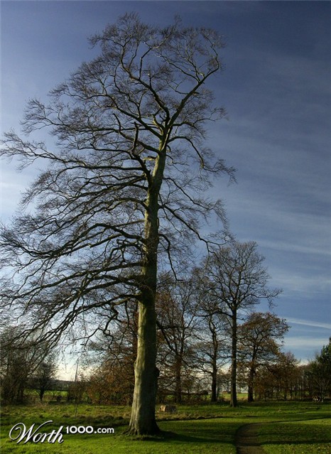 Photography by wiggster