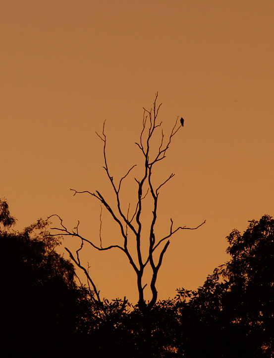 Photographie par wrathe pour DesignCrowd (Community Contests) | Design #9073160