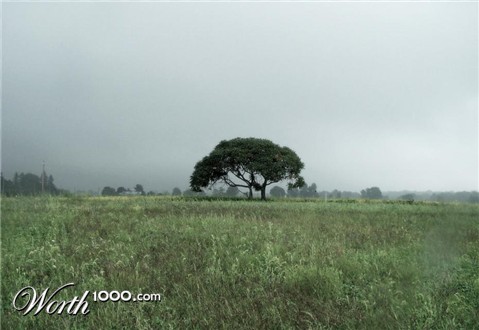 Photography by fryzee
