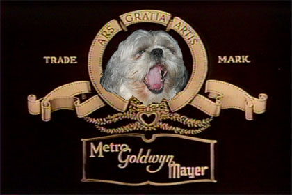 Diseño de Photoshop por Honeskent para DesignCrowd (Community Contests) | Diseño #9070801