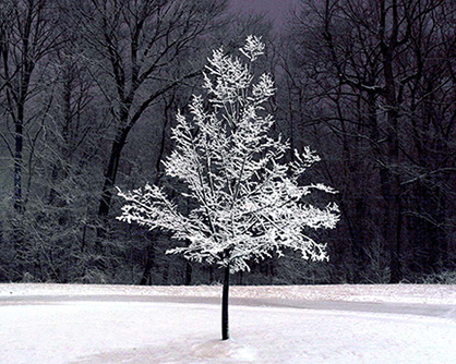 Fotografie von HPDriver für DesignCrowd (Community Contests) | Design #9073226