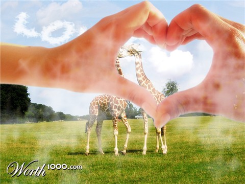 Photoshop Design by damas100