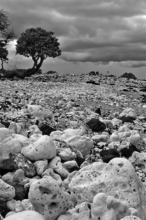 Fotografie von klemmg für DesignCrowd (Community Contests) | Design #9073169