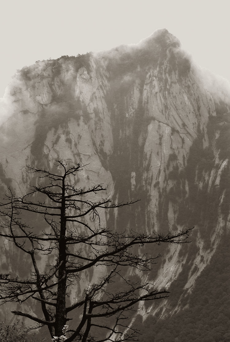 Photography by josephzl for DesignCrowd (Community Contests) | Design #9073156