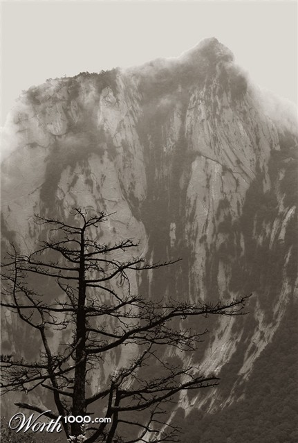 Photography by josephzl