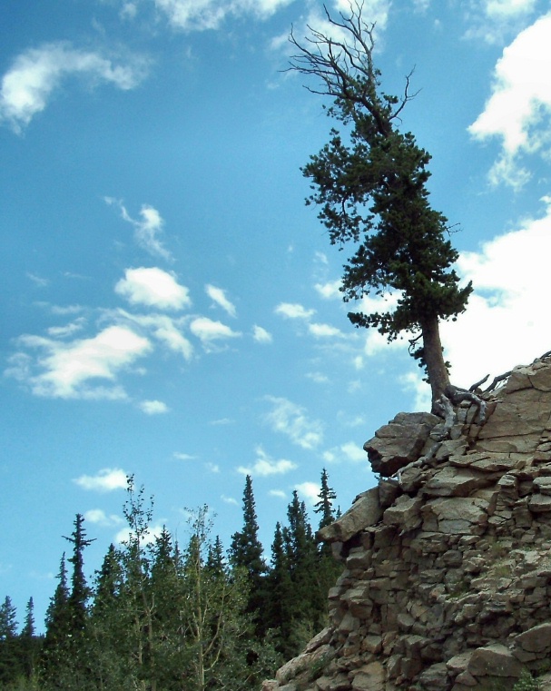 Fotografie von mmc9496 für DesignCrowd (Community Contests) | Design #9073335