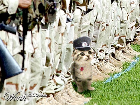 Photoshop Design by reneehiggs