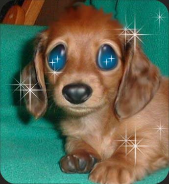 Diseño de Photoshop por Freakychick para DesignCrowd (Community Contests) | Diseño #9070876