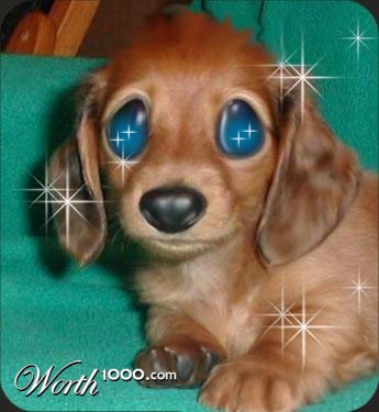 Photoshop Design by Freakychick