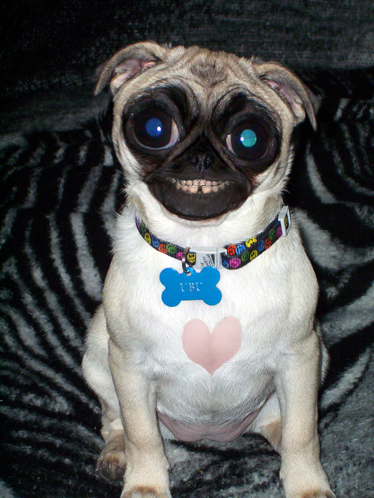 Photoshop Design by Draifet for DesignCrowd (Community Contests) | Design #9070859