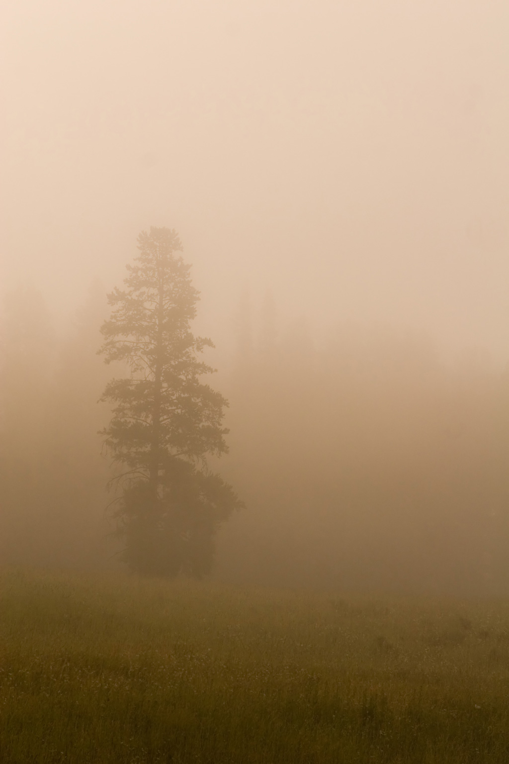 Fotografie von jiwasz für DesignCrowd (Community Contests) | Design #9073308