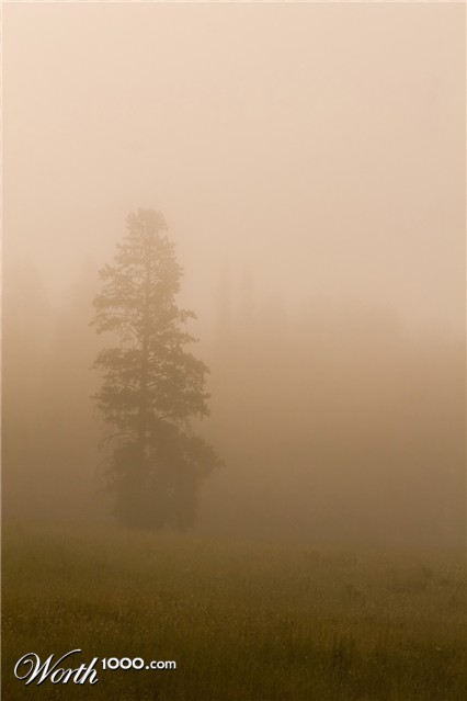 Photography by jiwasz