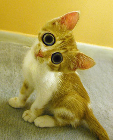 Diseño de Photoshop por downside para DesignCrowd (Community Contests) | Diseño #9070901