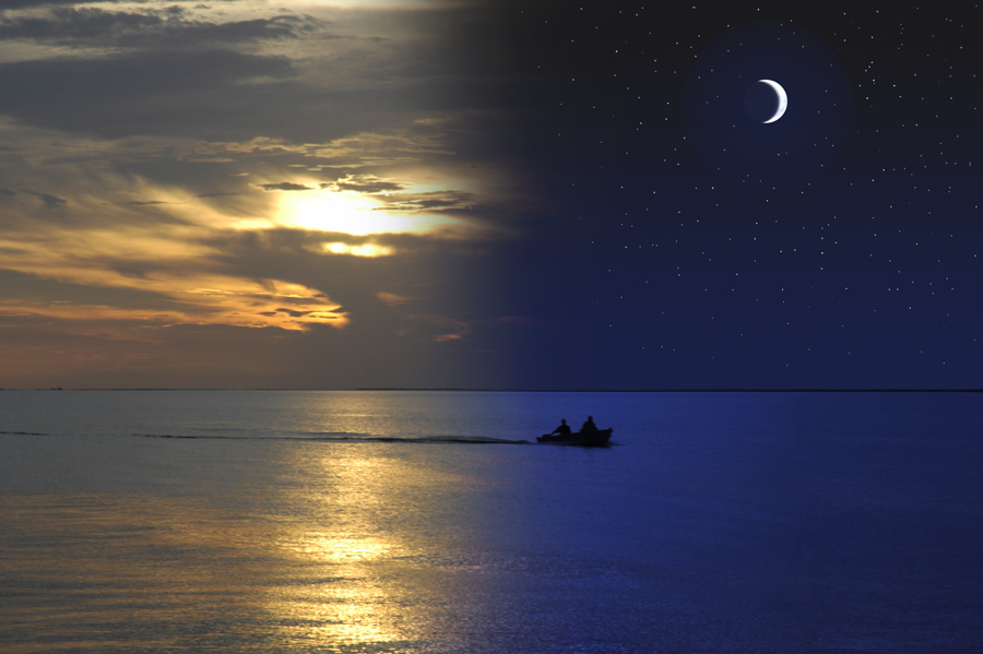 Photography by Fishcat for DesignCrowd (Community Contests) | Design #9068901