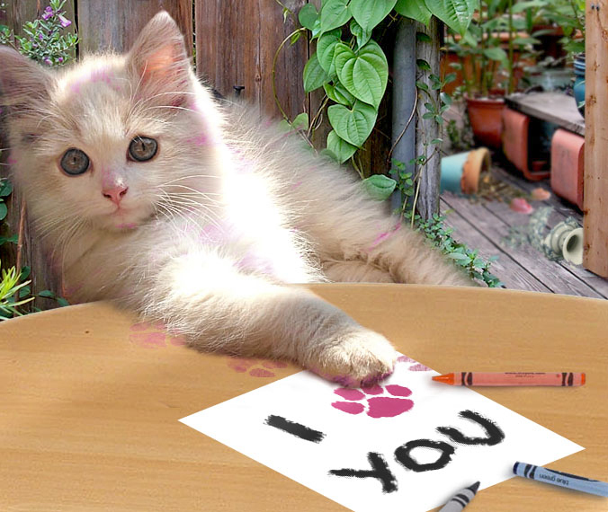 Photoshop Design by Partyshot for DesignCrowd (Community Contests) | Design #9070907