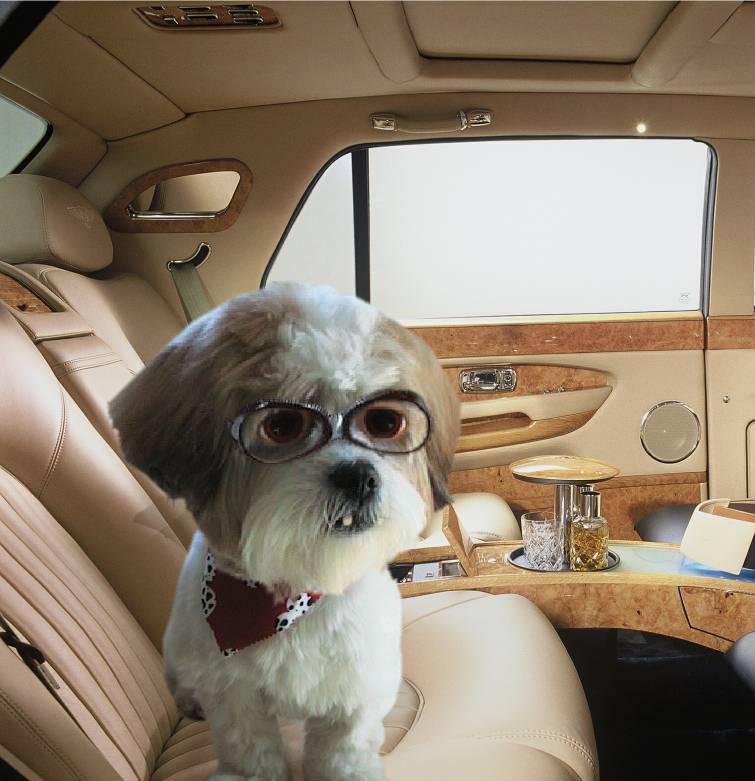 Photoshop Design by sloanyo for DesignCrowd (Community Contests) | Design #9070956