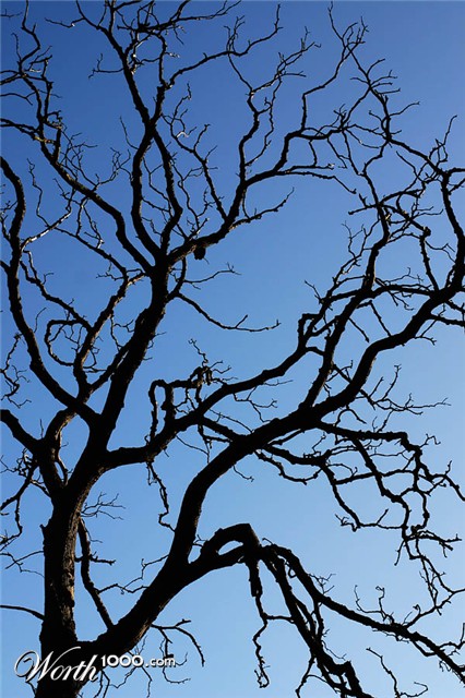 Photography by SigloV