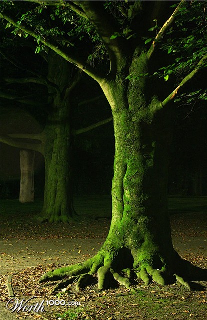 Photography by wiebeiw