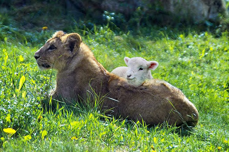 Photoshop-Design von 2manyusernames für DesignCrowd (Community Contests) | Design #9070916