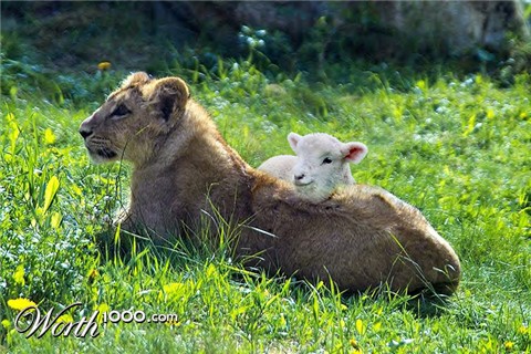 Photoshop Design by 2manyusernames