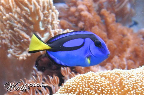 Photography by Alnath