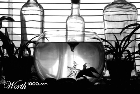 Photography by cannace