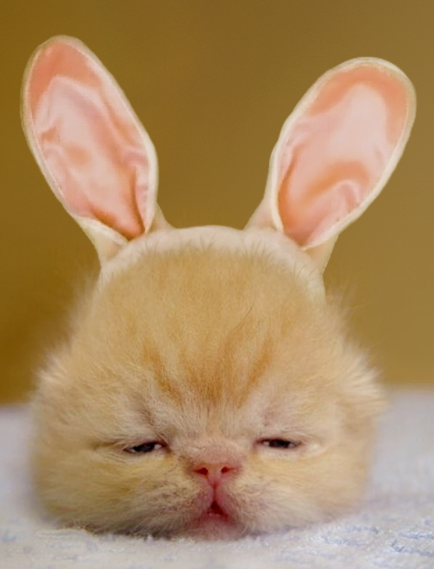 Diseño de Photoshop por strown para DesignCrowd (Community Contests) | Diseño #9070993