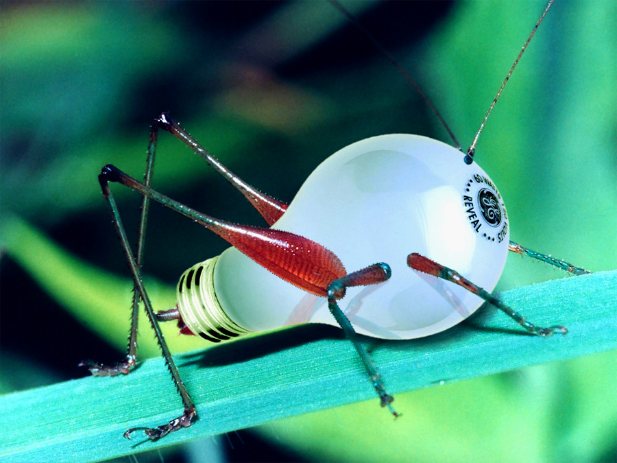 Photoshop Design by ozplasmic for DesignCrowd (Community Contests) | Design #9063278