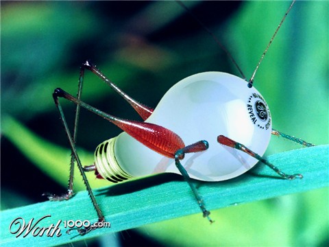 Photoshop Design by ozplasmic