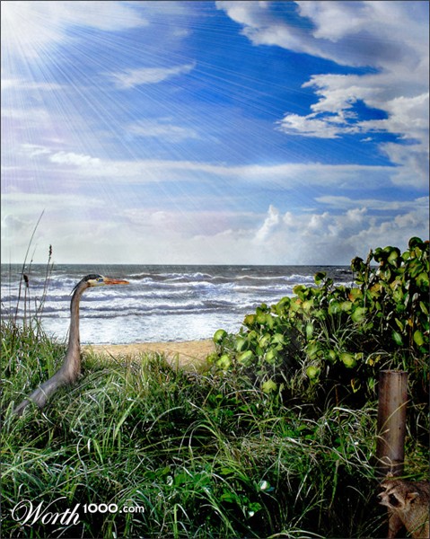 Photography by koalachimbo