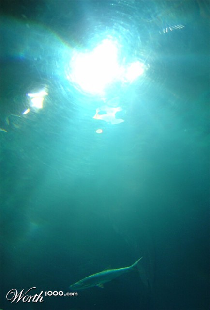 Photography by christiaanbroere