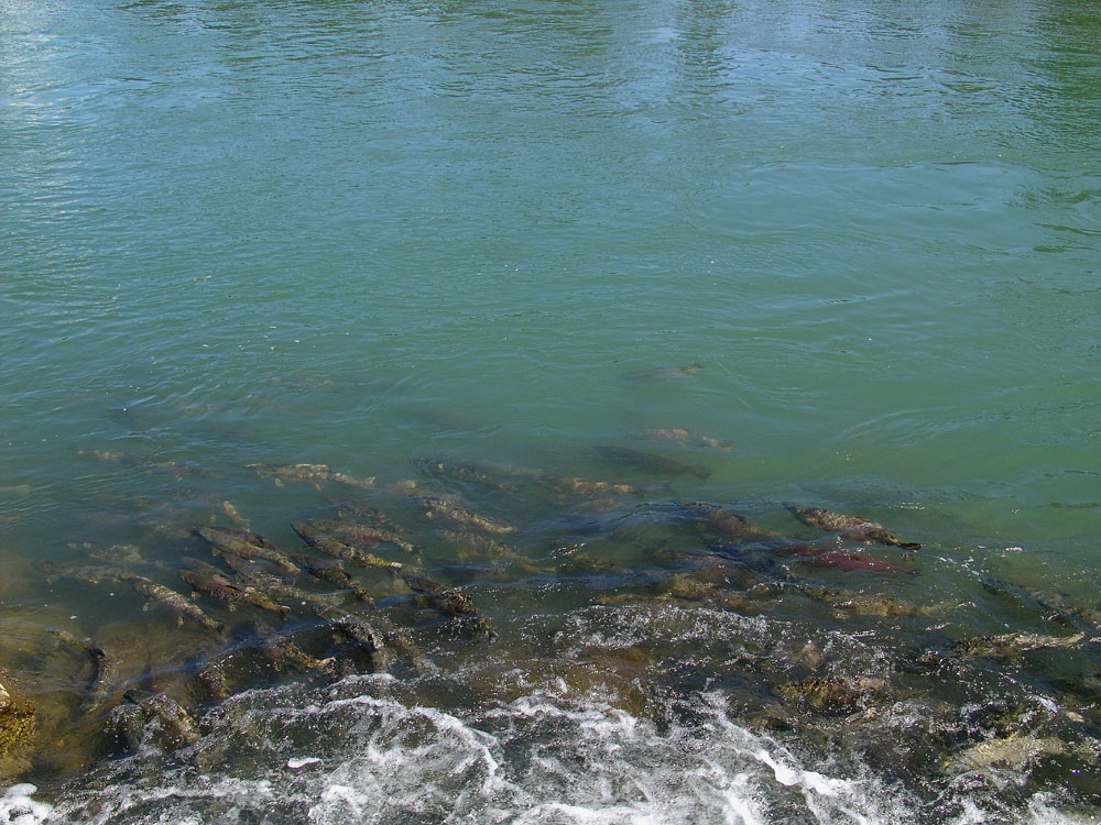 Photographie par whlutz pour DesignCrowd (Community Contests) | Design #9065299