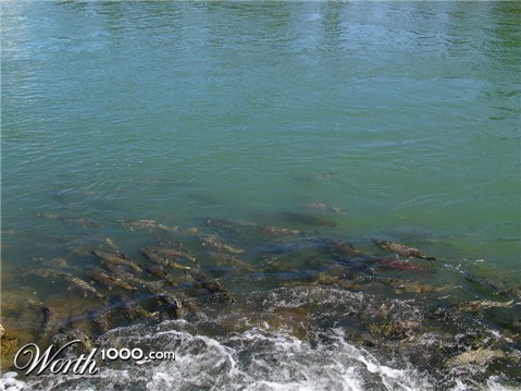 Photography by whlutz