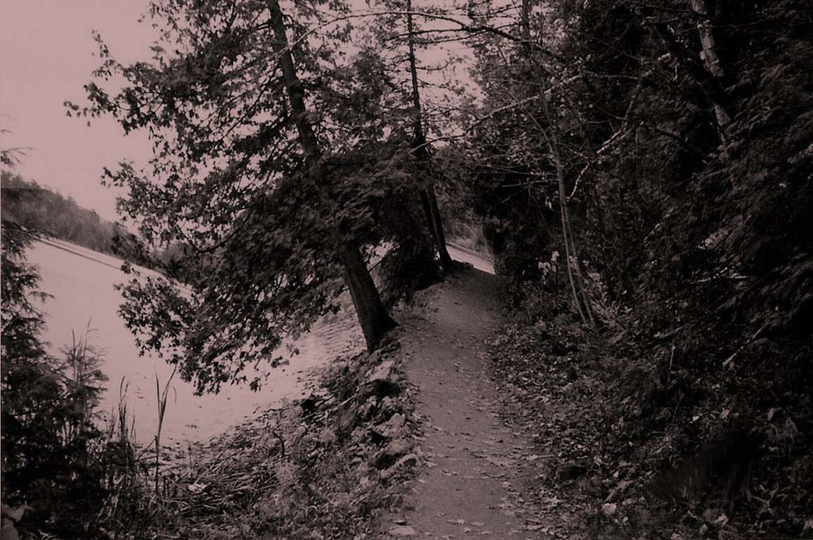 Photography by MissTish for DesignCrowd (Community Contests) | Design #9068927