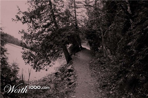 Photography by MissTish