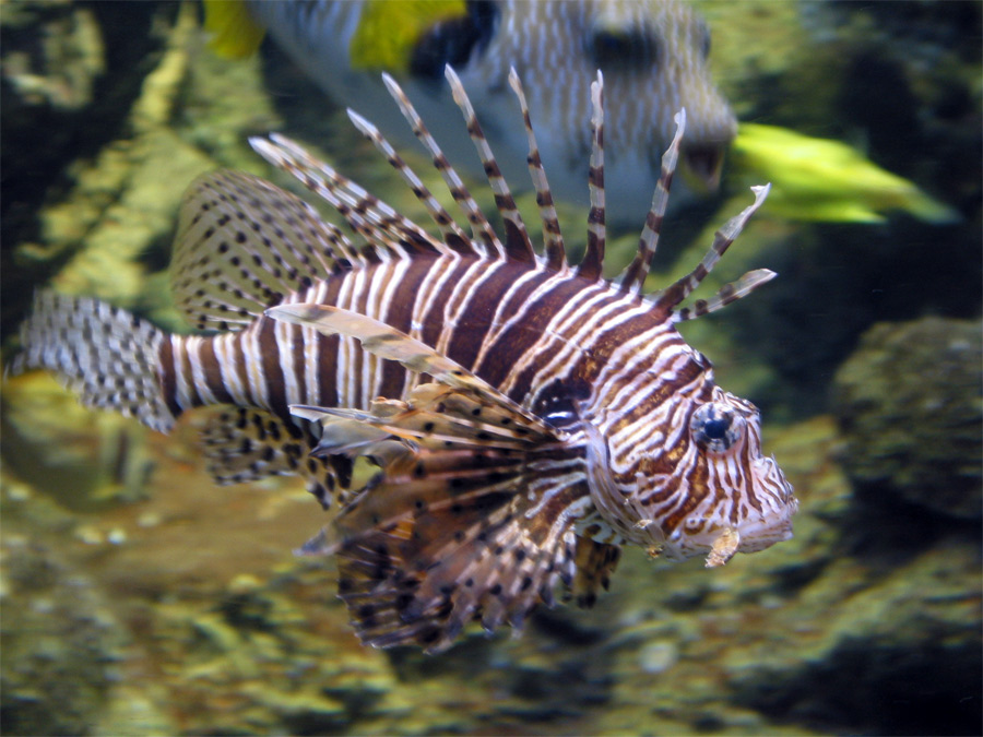 Photography by sandreu for DesignCrowd (Community Contests) | Design #9065303