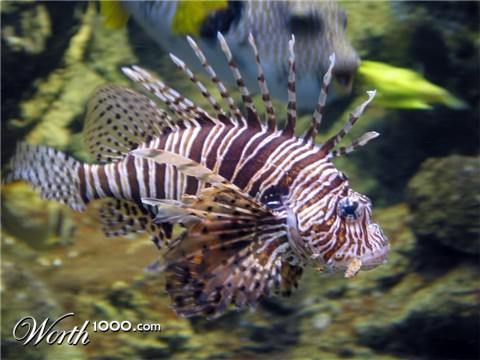 Photography by sandreu