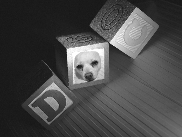 Photoshop-Design von LADPUPMOE für DesignCrowd (Community Contests) | Design #9063467